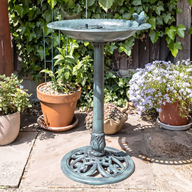 bird bath