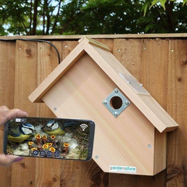 Camera Bird Box 2